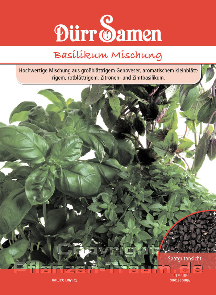Basilikum Samen Mischung, Ocimum basilicum, Samen Dürr