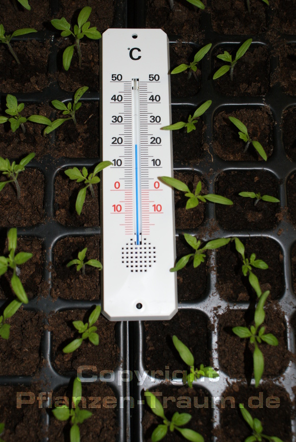Thermometer Gärtner drinnen und draussen von TFA