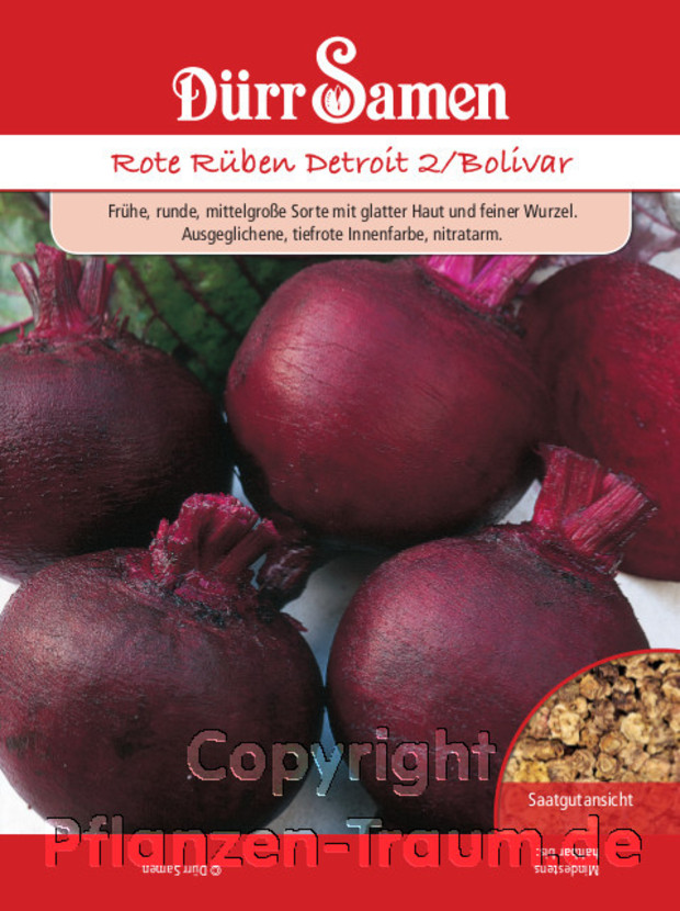 Rote Rüben Detroit 2/Bolivar, Rote Beete, Beta vulgaris Samen Dürr Rote Bete, Detroit 2/Bolivar bildet mittelgroße, nitratarme, runde Rote Rüben mit glatter Haut und feiner Wurzel. Tiefrote, ausgeglichene Innenfarbe. Sehr bewährt und ertragssicher.