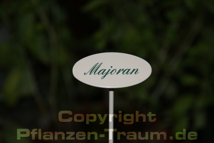 Majoran, Kräuterstecker Indoor Schild mit Spieß, Pulverbeschicht
