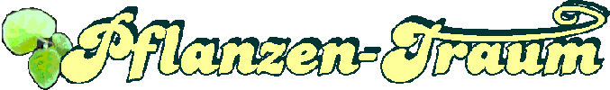 Pflanzen Traum, Shop, Jungpflanzen, Tomaten, Kräuter, Thymian, Fenchel, Tabak