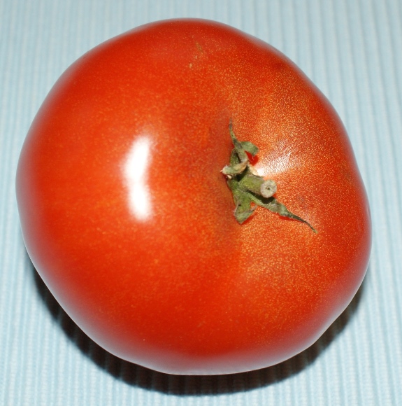 Tomaten Samen Saint Pierre Stabtomate Lycopersicum Solanum lycop