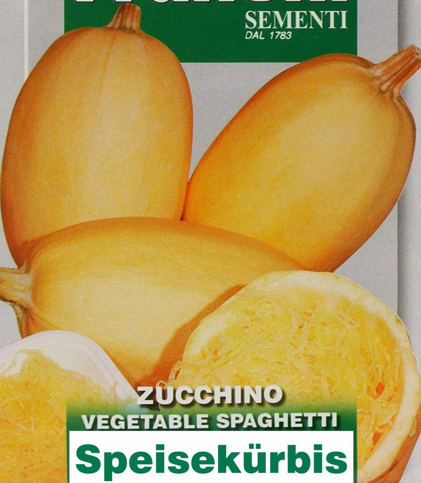 Zucchini Spaghettikürbis, Cougette, Samen