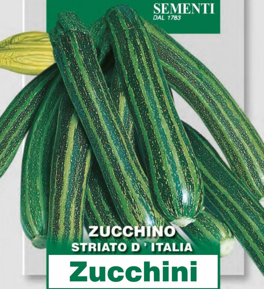 Zucchino Striato D'Italia, Samen, klassische Zucchini