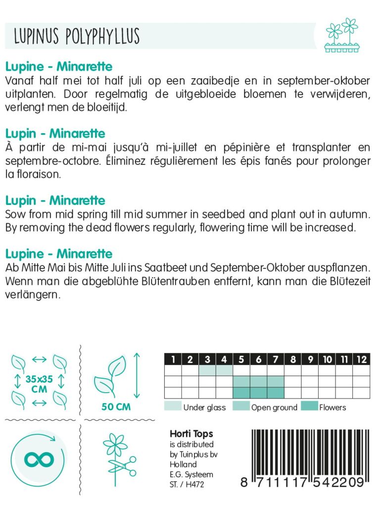 Lupine, Minarette, Bodendecker, Blume, Lupinus polyphyllus, Horti Tops, Sameninfo