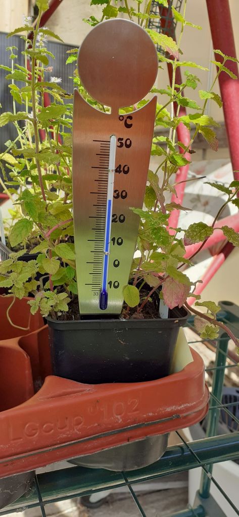 Blumentopf Thermometer auf hochwertigem Edelstahl für drinnen und draussen
