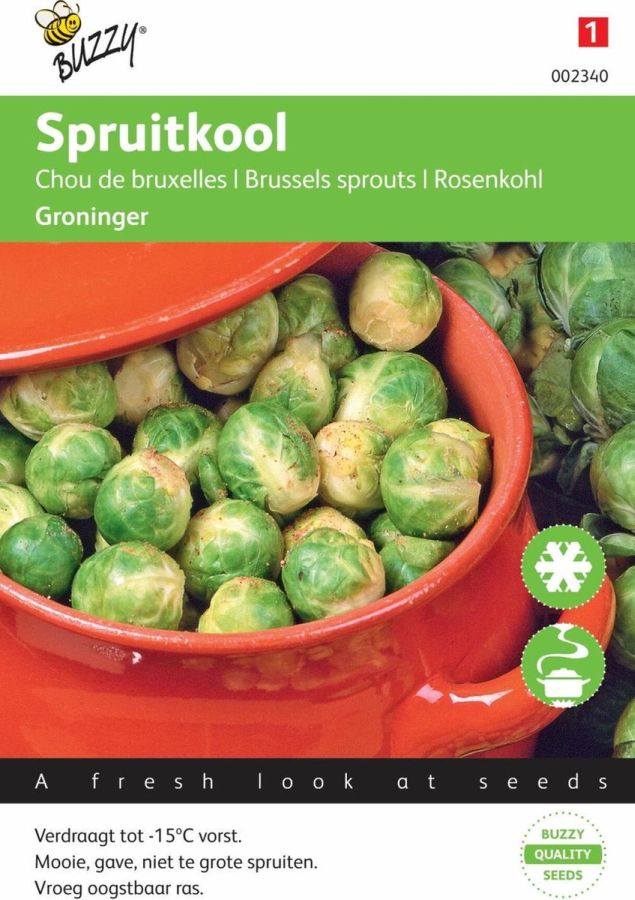 Groninger Rosenkohl, Brassica oleracea, klassische Sorte, Buzzy Samen