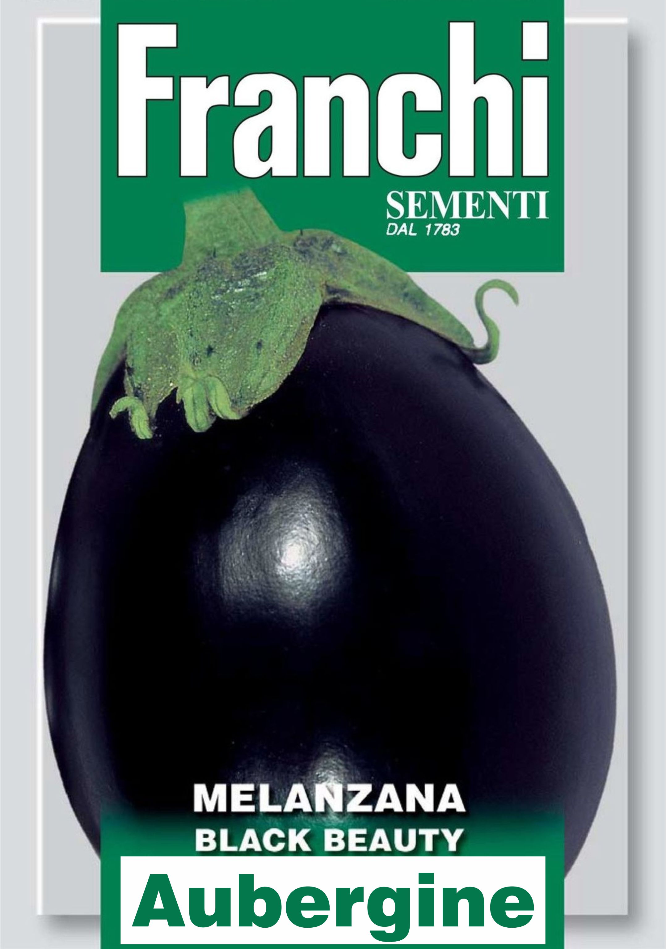 Auberginen Samen Black Beauty, Samen, Solanum melongena, Franchi Sementi