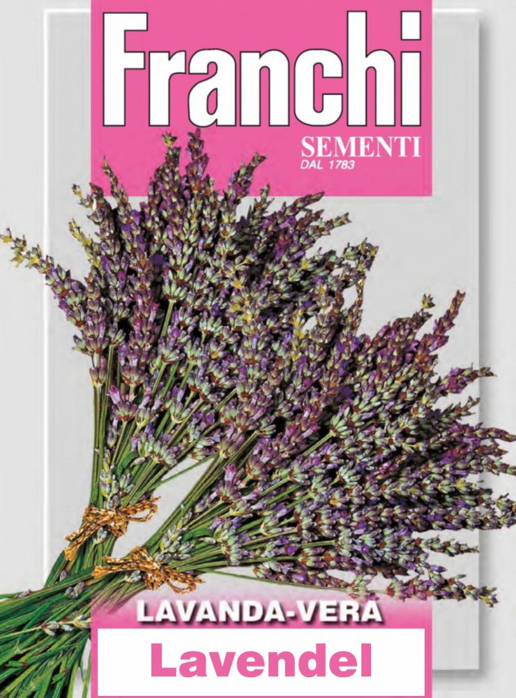 Lavendel Vera, Lavandula vera L. Samen, Franchi Sementi, Echter Lavendel, Franchi Sementi