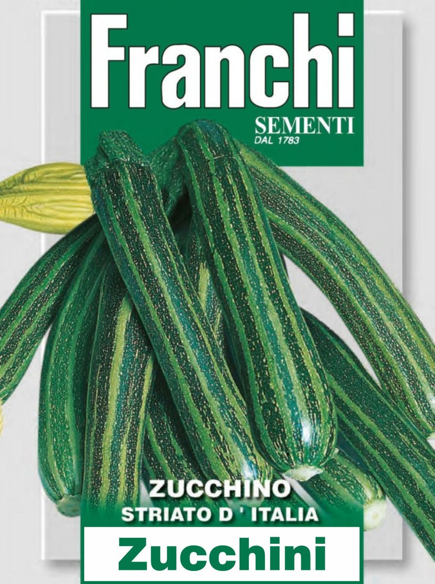 Zucchino Striato D'Italia, Samen