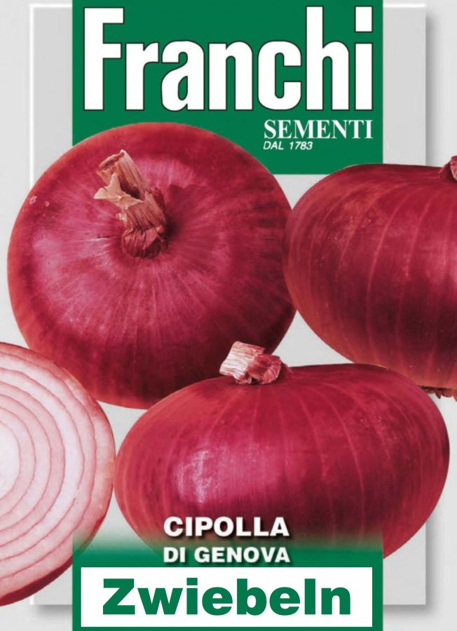 Zwiebeln Genua, Samen, rote Speisezwiebeln, feine italienische Speisezwiebeln, Allium cepa L., Cipolla di Genova, feinste italienische Samen von Franchi Sementi.