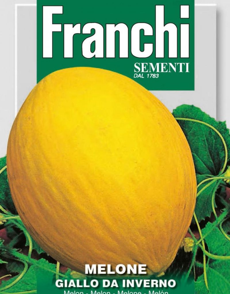 Melone, Zuckermelone, Giallo da Inverno, Zuccherino, Cucumis melo L