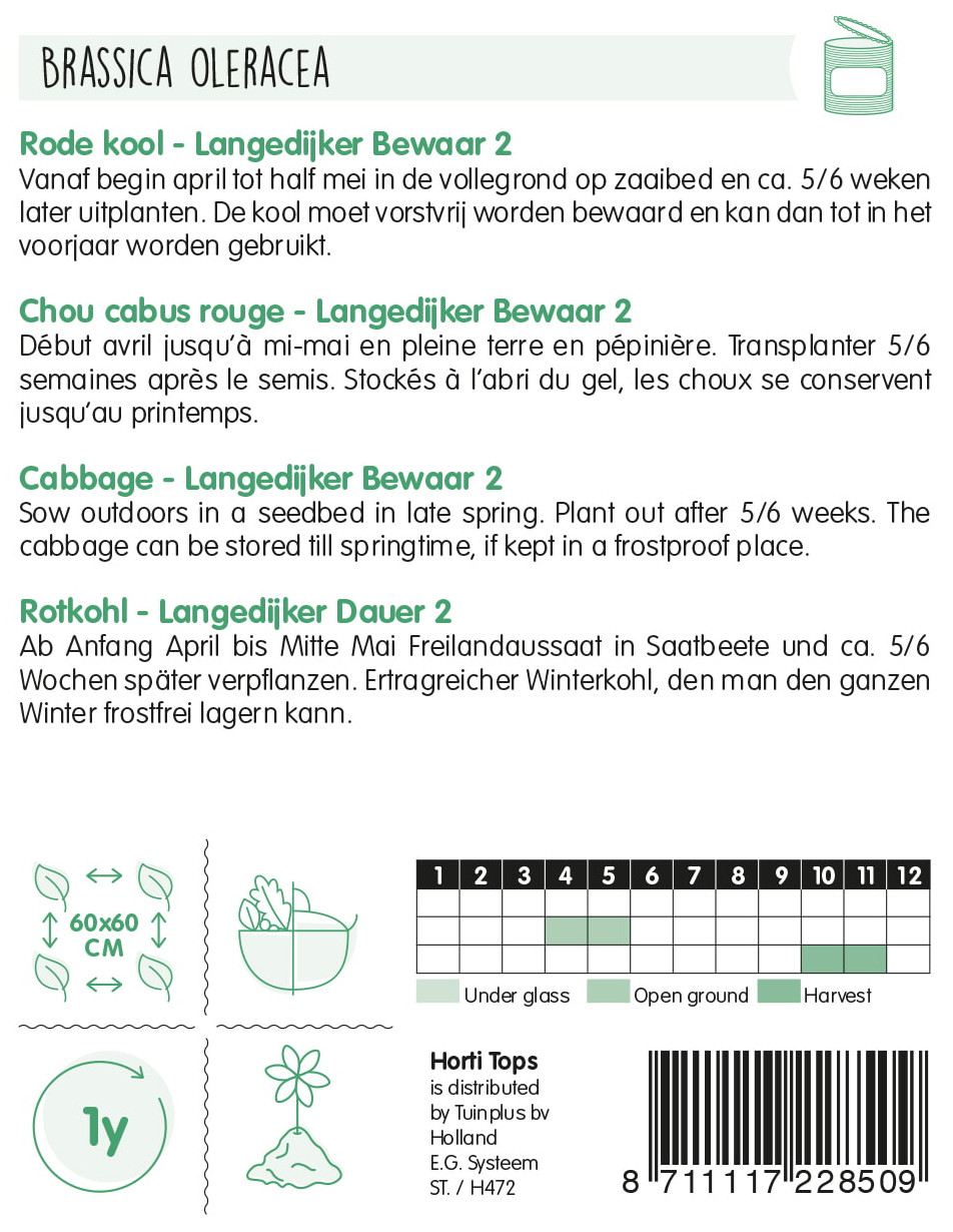 Rotkohl Samen, Langedijker Dauer 2 oder Langedijker Bewaar 2, Brassica oleracea, Sameninfo, bekannte klassische Sorte