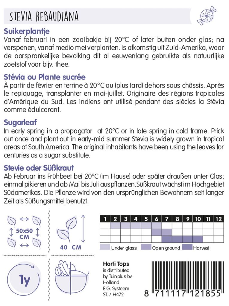 Samentüte Sameninfo, Süßkraut, Süßblatt, Stevia rebaudiana, Samen Horti Tops