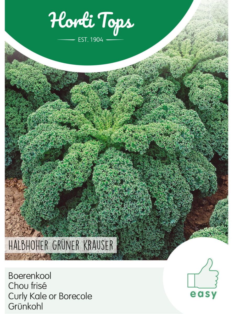 Grünkohl Samen, halbhoher Krauser, Horti Tops