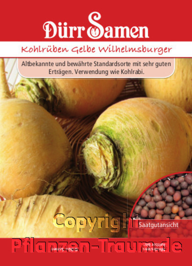 Kohlrüben Gelbe Wilhelmsburger, Brassica oleracea, Samen Dürr