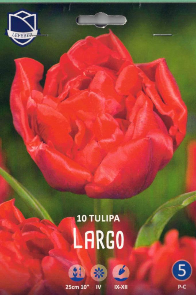 Tulpen, Tulpenzwiebeln, Largo, gefüllte frühe Tulpe, 25 cm, 10 Blumenzwiebeln