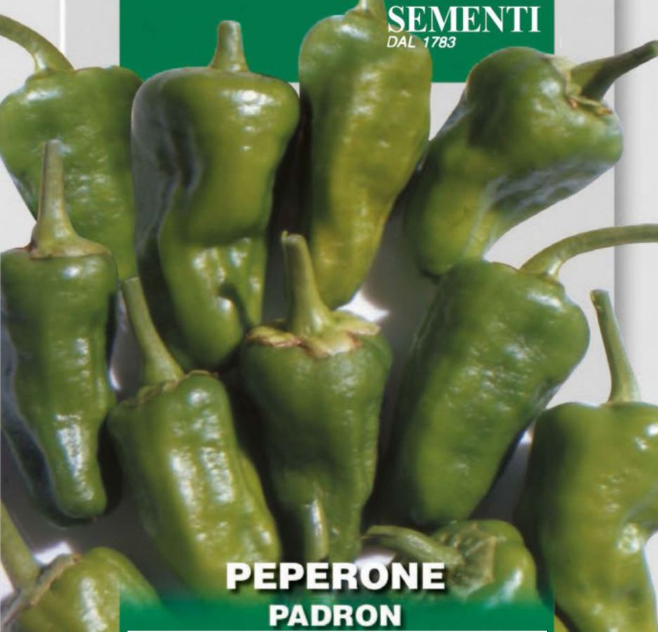 Peperoni Pimientos Padron, Samen, Franchi Sementi