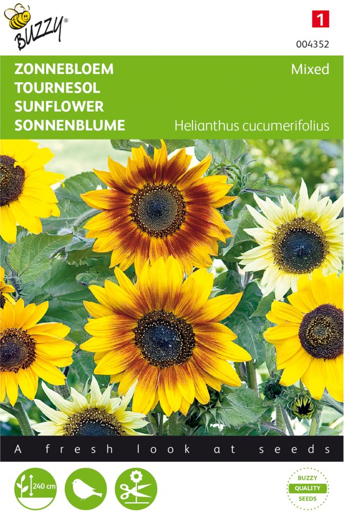 Sonnenblumen Mischung Samen Helianthus, Samen