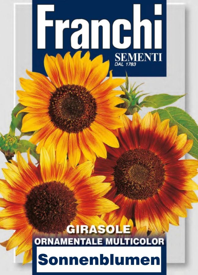 Sonnenblumen, hohe bunte, Samen von Franchi