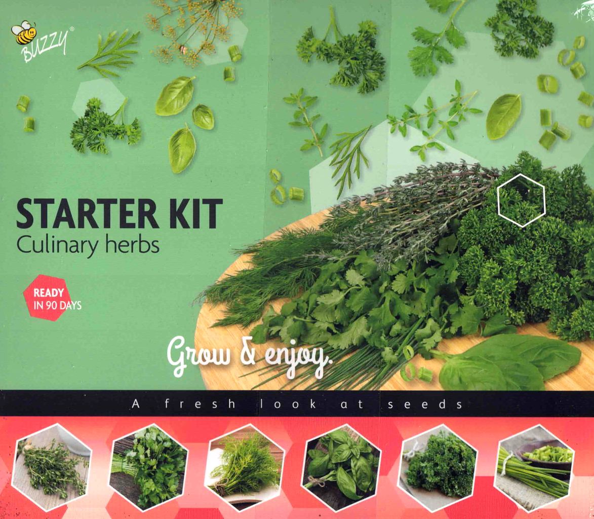 Küchenkräuter Starter Set - Petersilie, Thymian, Koriander, Dill, Basilikum & Schnittlauch inkl. Substrat & Mini-Anzuchtdisplay Küchenkräuter Starter Set - Petersilie, Thymian, Koriander, Dill, Basilikum & Schnittlauch inkl. Substrat & Mini-Anzuchtdisplay