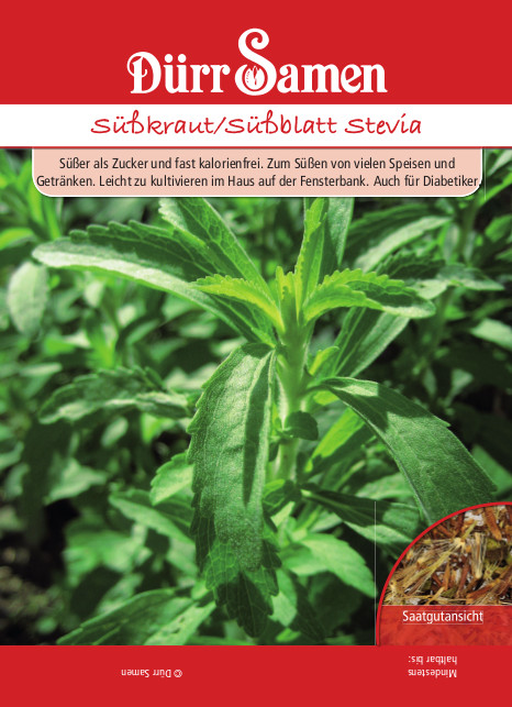 Süßkraut, Süßblatt, Stevia rebaudiana, Samen Dürr