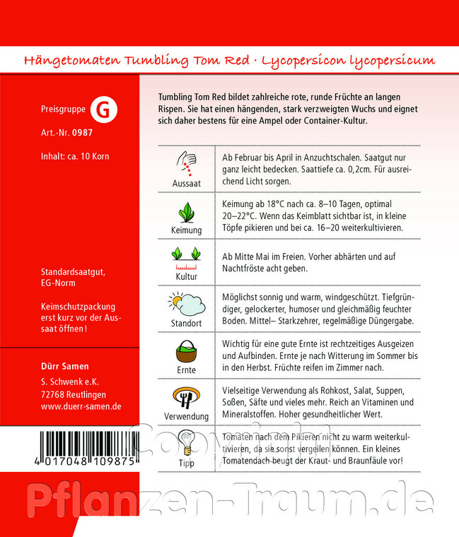 Hängetomaten Tumbling Tom Red, Dürr Samen. Zahlreiche, sehr schmackhafte rote, runde Früchte, Sameninfo