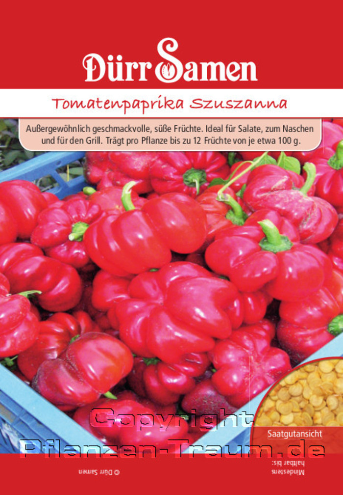 Tomatenpaprika Szuszanna, Capsicum annuum, Samen Dürr