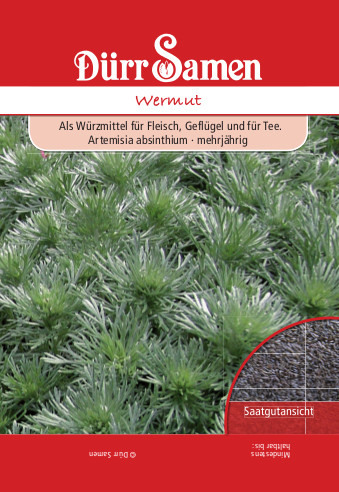 Wermut, Artemisia absinthium, Samen Dürr