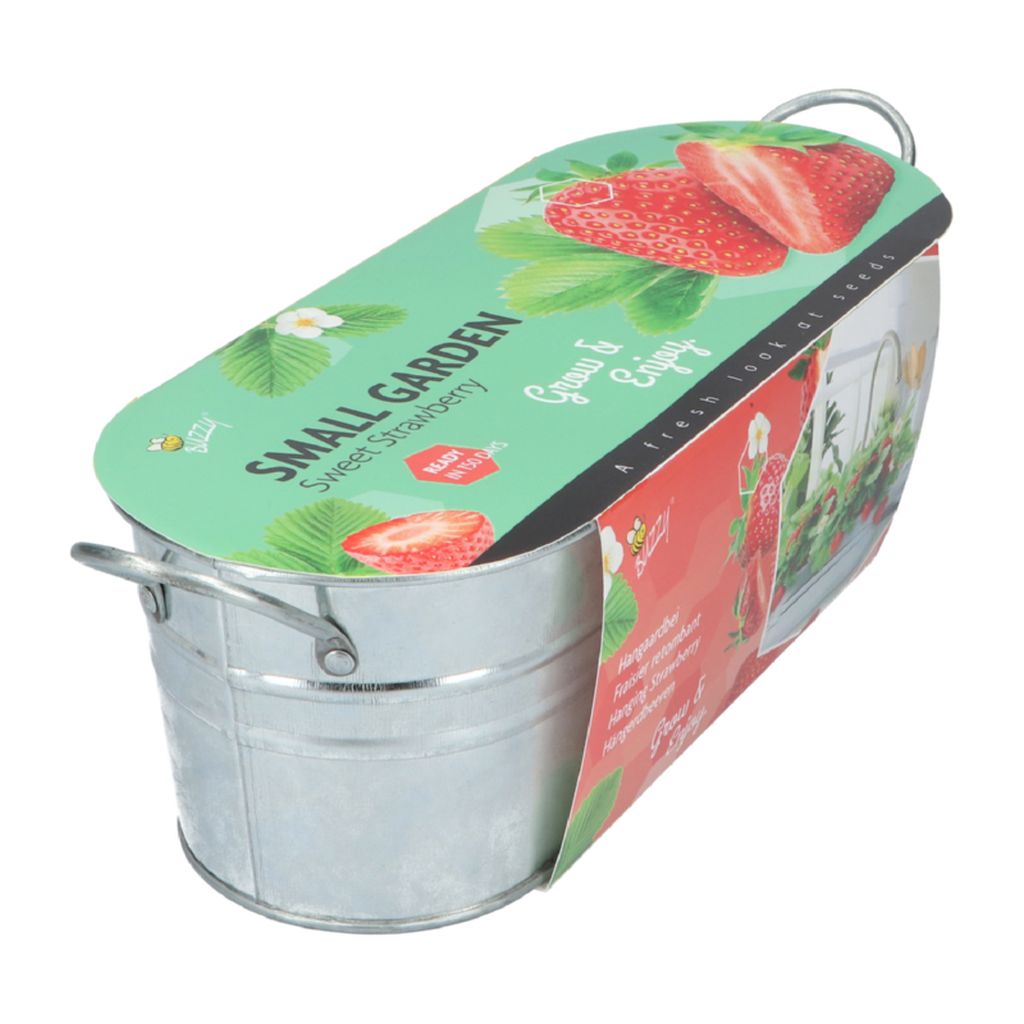 Erdbeer Garten – Samen Anzucht Set mit Erdbeeren-Samen, Zinkwanne, Kompost & Anleitung Erdbeer Garten – Samen Anzucht Set mit Erdbeeren-Samen, Zinkwanne, Kompost & Anleitung